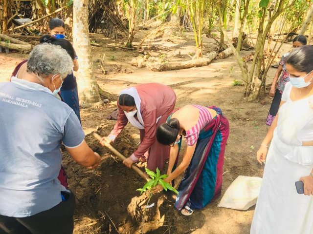 ‘Haritha Deyak’ National Home Gardening Program